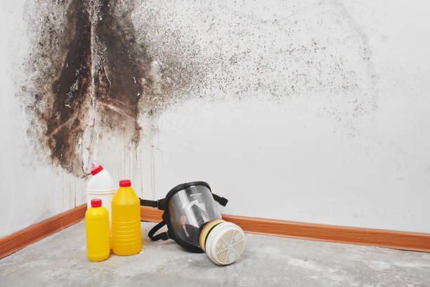 Best Mold Testing  in Sweetwater, TX