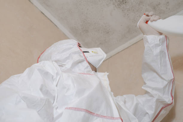 Best Emergency Mold Removal  in Sweetwater, TX